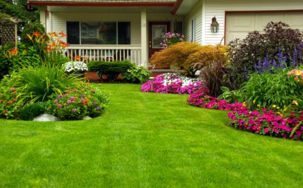 What are the Benefits of Landscape Renovation?