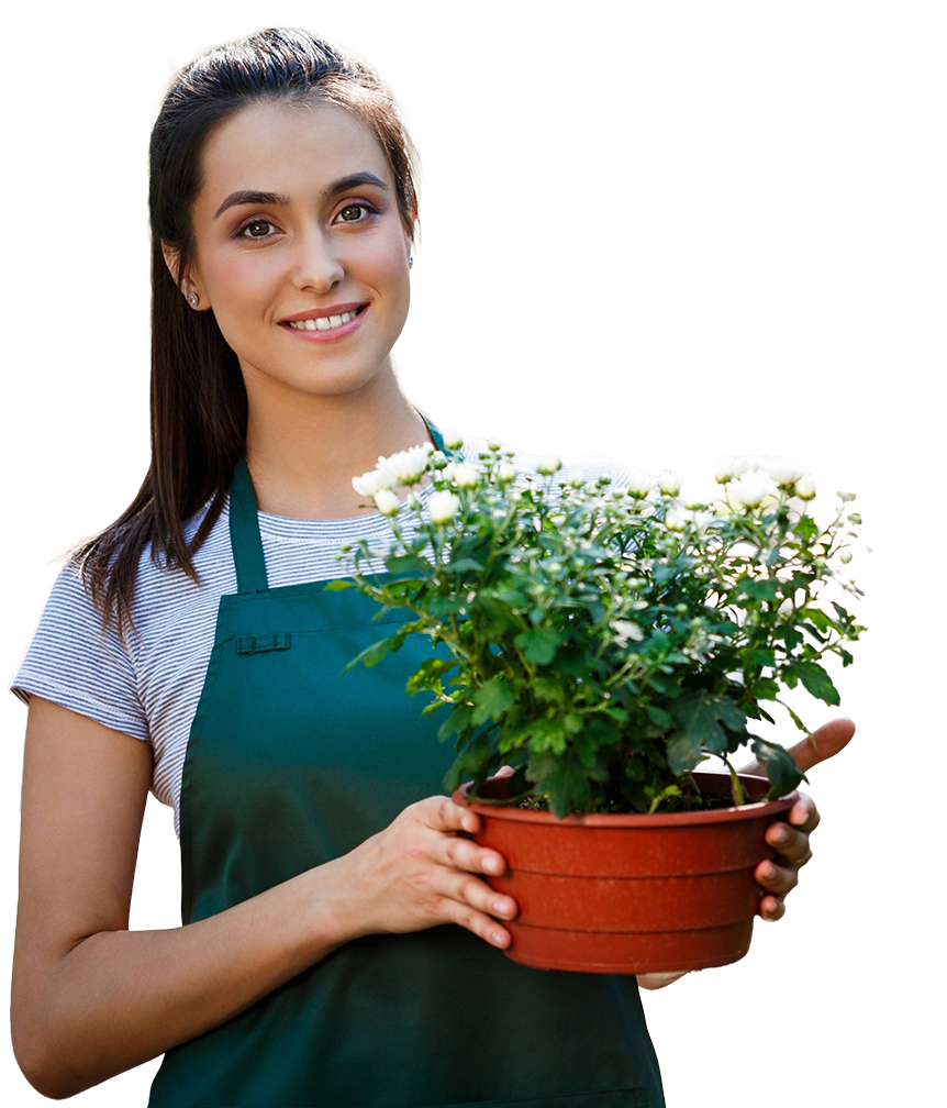 adamslandscapeimages