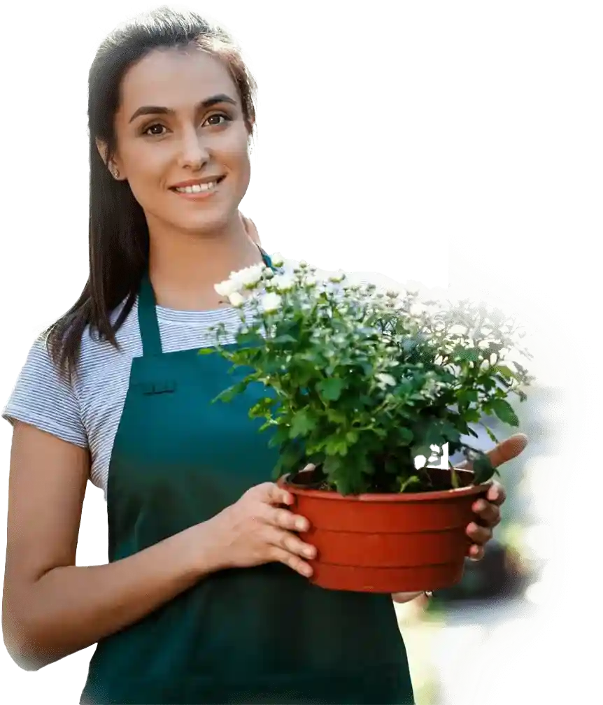 adamslandscapeimages