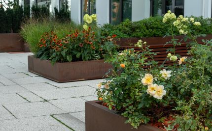 Does Good Landscaping Attract More Customers?